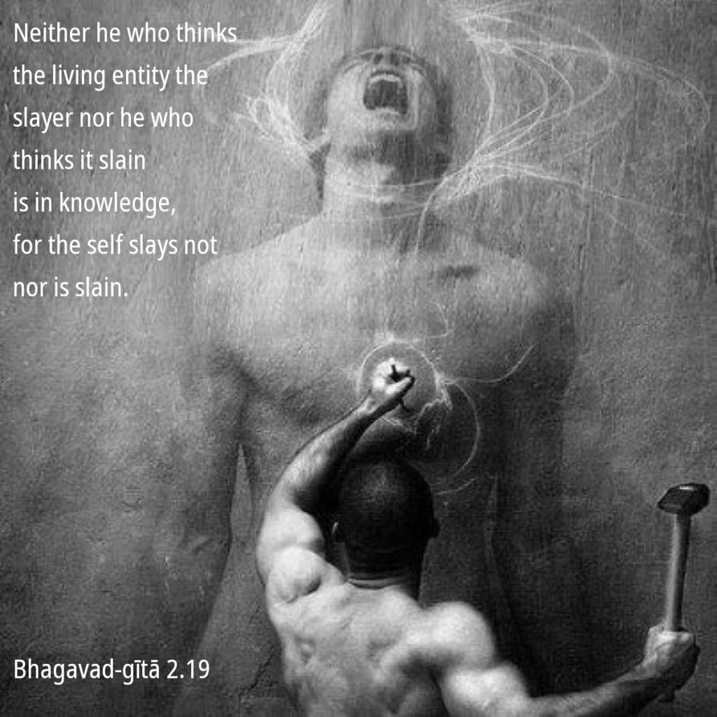 Bhagavad Gita: Chapter 2, Verse 19