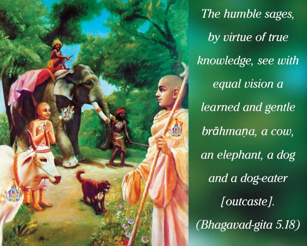 Bhagavad Gita Chapter 5 Verse 18
