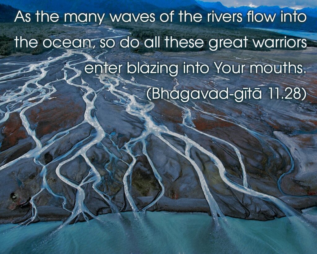 Bhagavad Gita Chapter 11 Verse 28