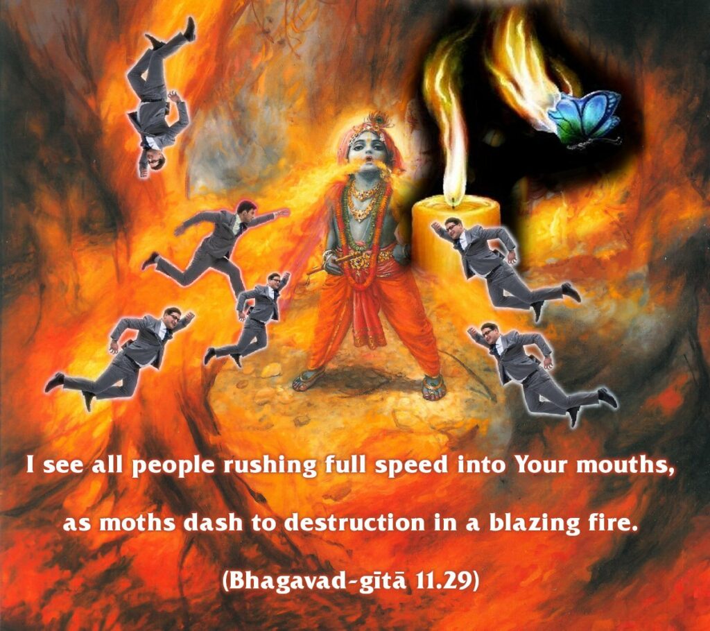 Bhagavad Gita Chapter 11 Verse 29