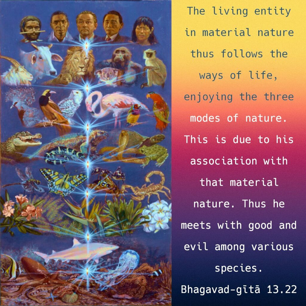 Bhagavad Gita Chapter 13 Verse 22