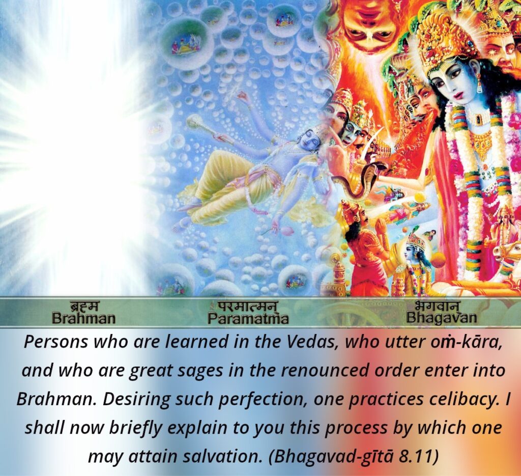 Bhagavad Gita Chapter 8 Verse 11
